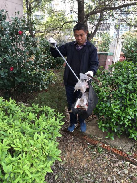 控制鼠害、預(yù)防疾病，構(gòu)建和諧文明社區(qū)